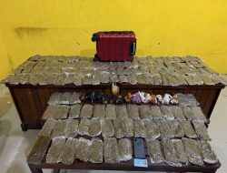 Polresta Sorong Kota Gagalkan Peredaran 5,4 Kilogram Ganja, Kurir Perempuan Ditangkap di Pelabuhan Sorong