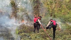 Satgas Preventif Bina Karuna Dofior Gerak Cepat Padamkan Kebakaran di Klasaman